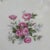 Mid 20th Century Vintage English Bone China Decorative Dessert Plate For Sale - Image 5 of 14