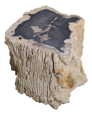 Big Petrified Wood Side Table by Xyleia Petrified Wood