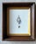Victorian Antique Shell Engraving in Deep Inset Frame For Sale - Image 3 of 11