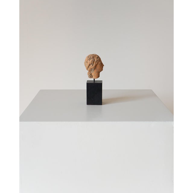 Ceramic Unknown, Ancient Greek Terracotta Head, 1800s, Terracotta For Sale - Image 7 of 9
