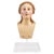 Head of Woman, Italy, 18th Century For Sale - Image 5 of 5