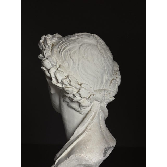 Plaster Bust of Emperor Augustus For Sale - Image 14 of 18
