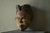 Wood African Bena Lulua Mask Kasai Region, 1940s For Sale - Image 7 of 13
