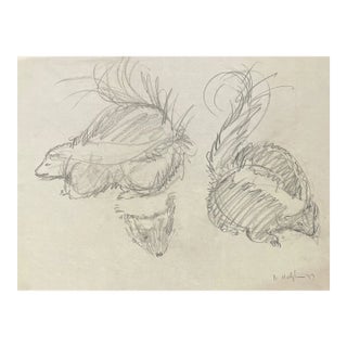 1959 Skunk Drawing by Neil Meitzler For Sale