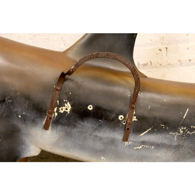 Mid 20th Century Hammerhead Shark Mount For Sale - Image 14 of 17