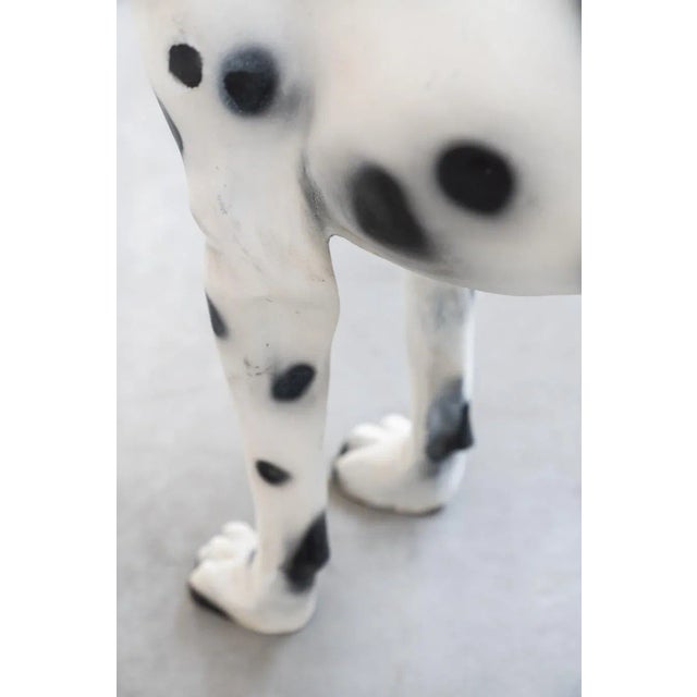 Dalmatian Dog in Resin, 1970s For Sale - Image 13 of 16