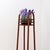 Brown Bentwood Pedestal Flower Stand from Jacob & Josef Kohn, 1890s For Sale - Image 8 of 15