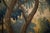 Antique Aubusson Verdure Tapestry, Large 18th C Handwoven French Wall Hanging, Forest Landscape Art For Sale - Image 11 of 14