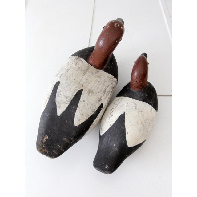 Pair of Vintage Wooden Canvasback Duck Decoys For Sale - Image 10 of 15