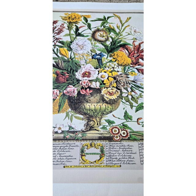 1980s Vintage Robert Furber September Botanical From "Twelve Months of Flowers” Pierpont Morgan Library Print For Sale - Image 9 of 12