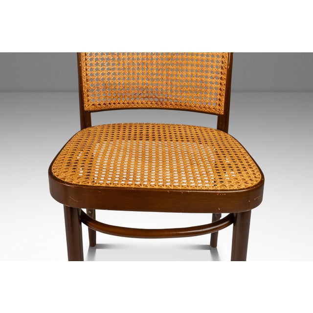 Brown Single Patinated Bentwood Prague Model 811 Side Chair by Josef Frank for Stendig With Original Cane Seat & Back, Poland, Circa 1960s For Sale - Image 8 of 12