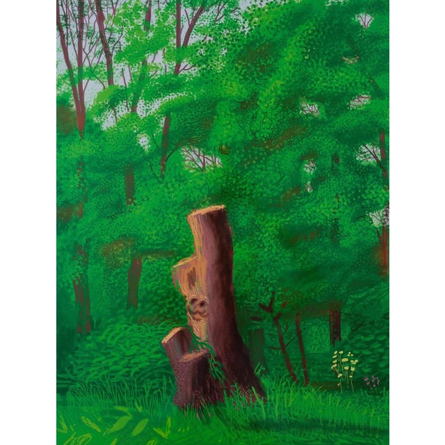 David Hockney (1937) At the Edge of the Undergrowth Original color poster On glossy paper, 48 x 66 cm (approx. 19 x 26...