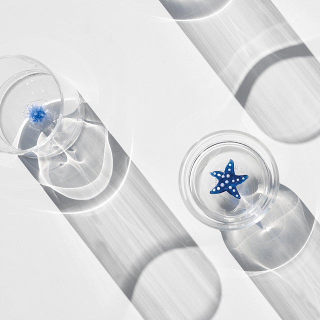 2020s Teca Mare Tumbler (set of 6) - Starfish For Sale - Image 5 of 6
