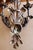 Vintage Baroque Style Three-Light Wall Lamps, 1950s, Set of 2 For Sale - Image 11 of 13