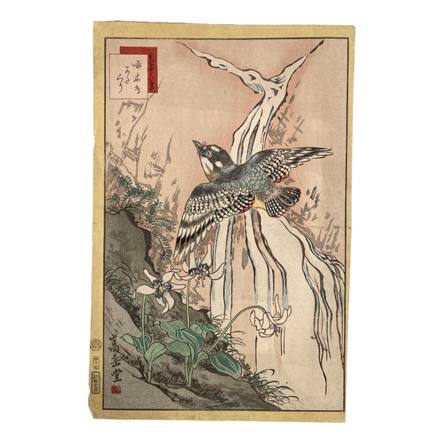 Nakayama Sūgakudō, Woodpecker and Erythronium Japonicum, 1859, Print For Sale