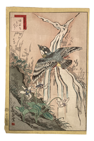 Nakayama Sūgakudō, Woodpecker and Erythronium Japonicum, 1859, Print