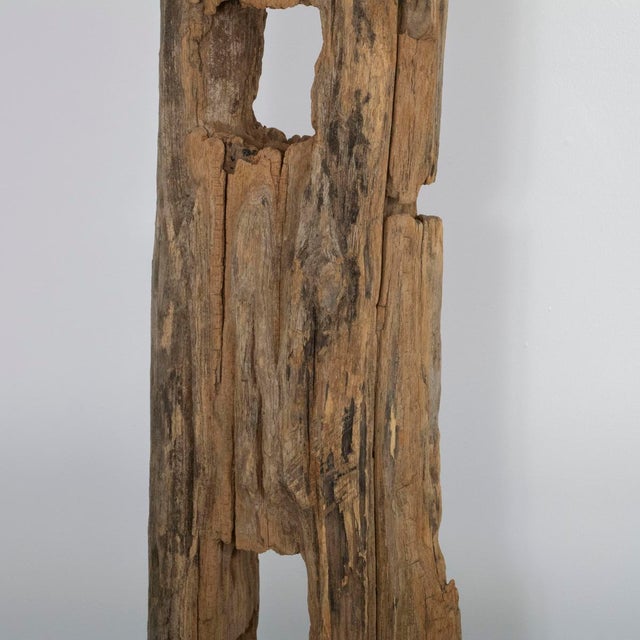 Natural driftwood floor lamp For Sale - Image 10 of 13