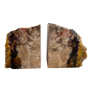 Large Petrified Wood Stone Bookends For Sale