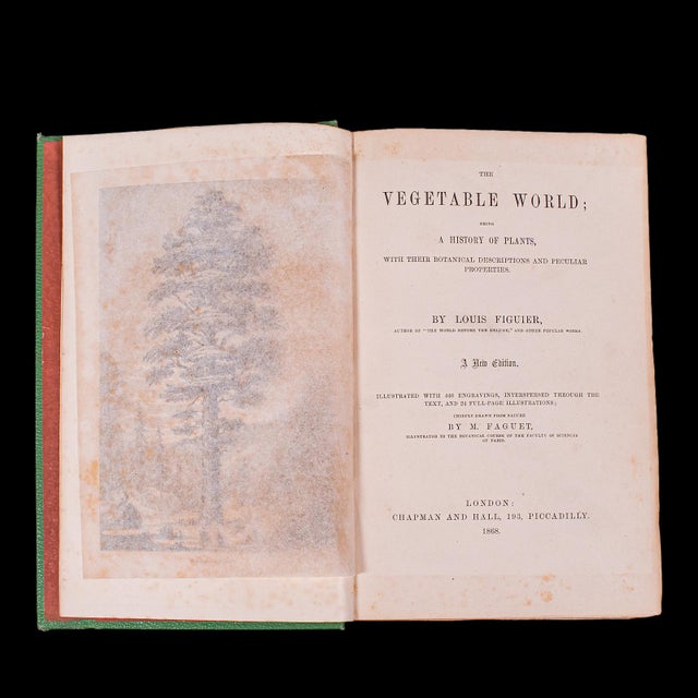 Antique Reference Book, the Vegetable World, English, Louis Figuier, Victorian For Sale - Image 4 of 12