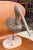 Antique Carved Shorebird For Sale In San Francisco - Image 6 of 7