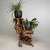 Large Japanese Burl Root Wood Plant Stand, 1920s For Sale - Image 6 of 18