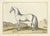 Baron Eisenberg, L'Arabe, 1727, Engraving For Sale - Image 11 of 11