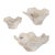 2020s Teo Bleached Wood Wall Decor Set/3 For Sale - Image 5 of 9