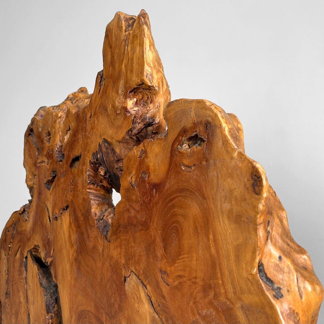 Japanese Keyaki Zelkova Root Wood Decoration, 1900s For Sale - Image 13 of 15