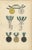 Orders of Anhalt, 1844, Paper For Sale - Image 3 of 9