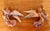 Metal Vintage Italian Cartapesta Paper Mache Angels With Instruments, Set of 2 For Sale - Image 7 of 9