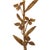Traditional Southern Living Trillium Steel Buffet Lamp, Brass For Sale - Image 3 of 8