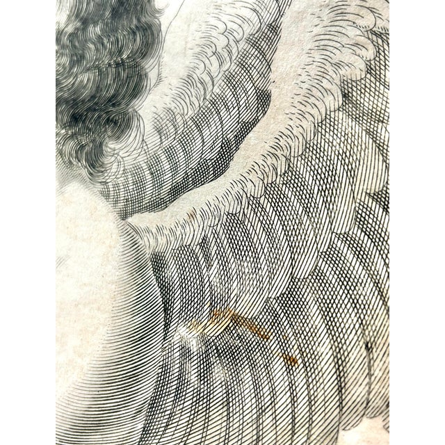 Mid 18th Century Antique Angel Engraving Signed Cavalli For Sale In Louisville - Image 6 of 12