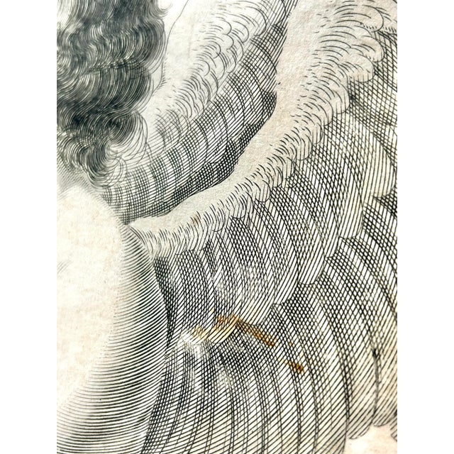 Mid 18th Century Italian Engraving of Angel, Signed Cavalli For Sale In Louisville - Image 6 of 12