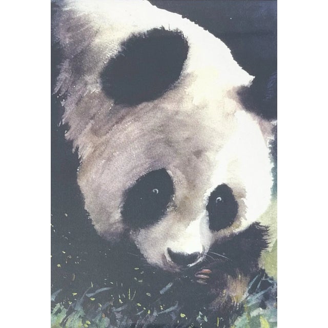 Glass Dong Liang Yuan Set of 4 Framed & Matted Small Signed “Panda” Prints For Sale - Image 7 of 16