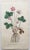 After Sowerby, Botanical Prints, 1793, Lithograph, Set of 12 For Sale - Image 9 of 14