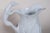 Pitcher has hound handle and trussed up rabbit, birds, foliage in relief. It is glazed inside. Biscuit finish on the outer...