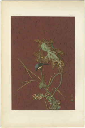 The Harmony of Nature, 1884, Paper