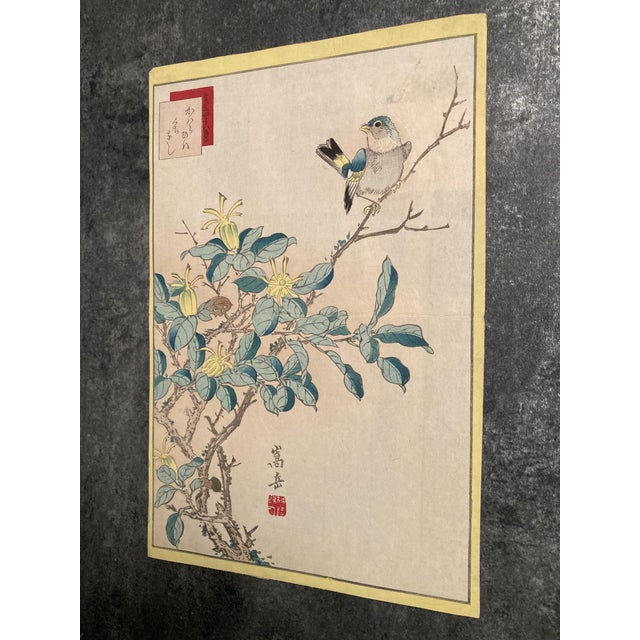 Nakayama Sūgakudō, Verdier Et Gardénia, 1859, Woodblock Print For Sale - Image 12 of 13