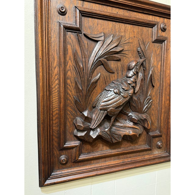 19th Century Black Forest Wall Panel Bird For Sale - Image 12 of 14