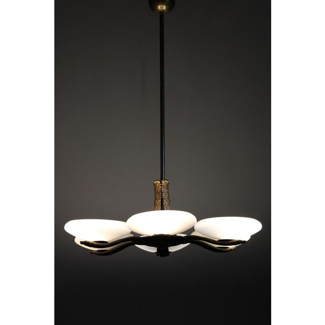 Art Deco Brass Chandelier with 6 Glass Shades, Former Czechoslovakia, 1930s For Sale - Image 15 of 16