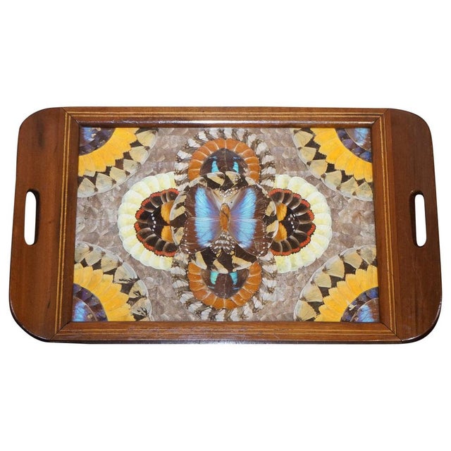Vintage Brazilian Inlaid Wood Tray with Real Morpho Butterfly Wings For Sale - Image 14 of 14