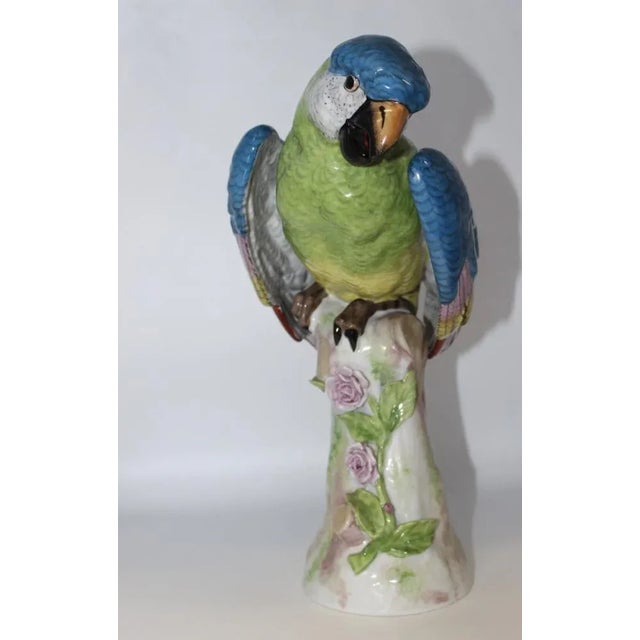 Ceramic Porcelain Parrot in the style of Meissen, 1940s For Sale - Image 7 of 11