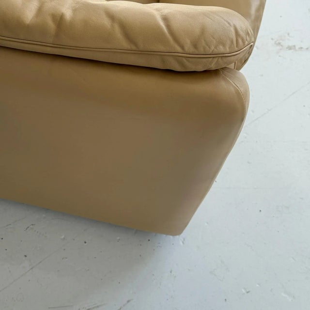 Animal Skin Ds-66 Leather Lounge Chair by De Sede For Sale - Image 7 of 9