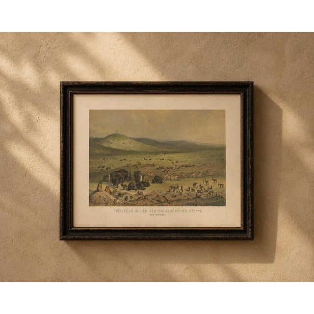 Wildlife of the Central Asian Steppe – Antique Natural History Lithograph, c.1883 This beautifully atmospheric antique...