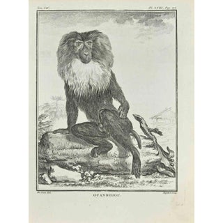 A-J De Fehrt, Ouanderou, Etching, 1771 For Sale