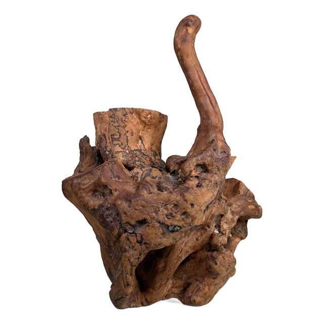 Japanese Koboku Root Wood Sculpture, 1960s For Sale
