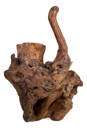 Japanese Koboku Root Wood Sculpture, 1960s