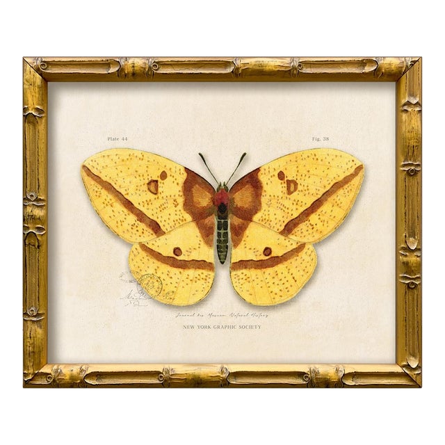 Contemporary Reproduction of Vintage "Garden Friends" Art Print, Yellow Framed Butterfly For Sale