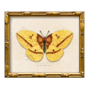 Contemporary Reproduction of Vintage "Garden Friends" Art Print, Yellow Framed Butterfly