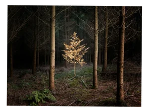 Ellie Davies, Smoke and Mirrors 5, Print